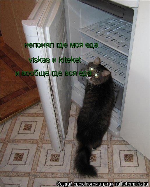 непонял где моя еда viskas и kiteket и вообще где вся еда... Котоматрица: непонял где моя еда viskas и kiteket и вообще где вся еда