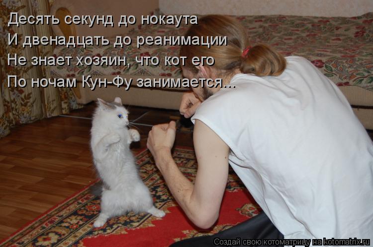 Десять секунд до нокаута И двенадцать до реанимации Не знает хозяин, что кот его По ночам Кун-Фу зани... Котоматрица: Десять секунд до нокаута И двенадцать до реанимации Не знает хозяин, что кот его По ночам Кун-Фу занимается...