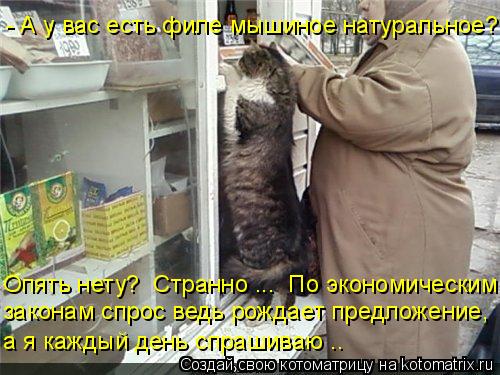 Котоматрица: - А у вас есть филе мышиное натуральное?  Опять нету?  Странно ...  По экономическим  законам спрос ведь рождает предложение,  а я каждый день сп