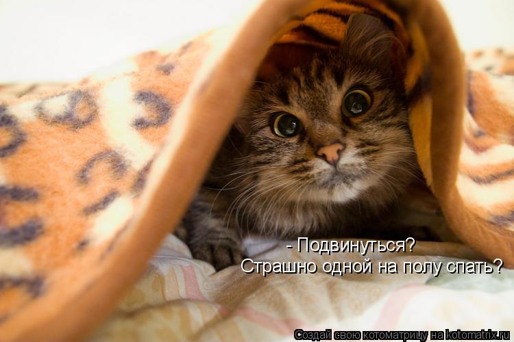 - Подвинуться? Страшно одной на полу спать?... Котоматрица: - Подвинуться? Страшно одной на полу спать?