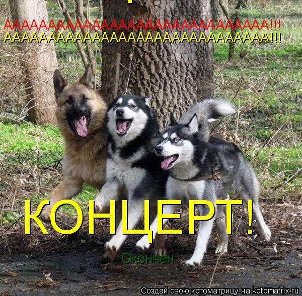 АААААААААААААААААААААААААААААА!!! АААААААААААААААААААААААААААААА!!! КОНЦЕРТ КОНЦЕРТ! Окончен... Котоматрица: АААААААААААААААААААААААААААААА!!! АААААААААААААААААААААААААААААА!!! КОНЦЕРТ КОНЦЕРТ! Окончен