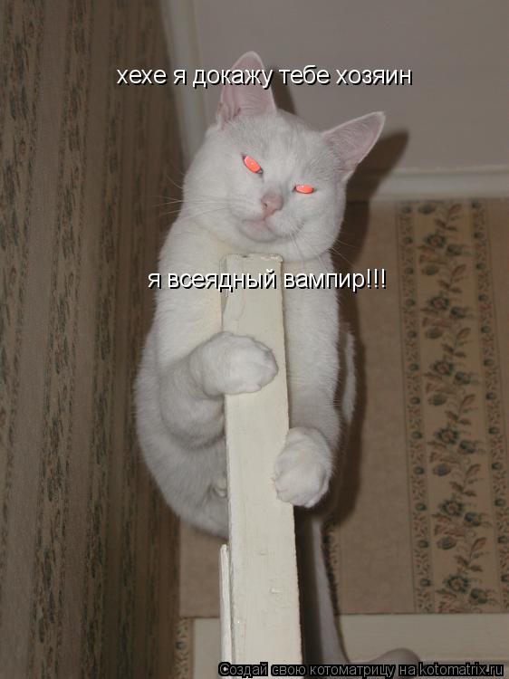 хехе я докажу тебе хозяин я всеядный вампир!!!... Котоматрица: хехе я докажу тебе хозяин я всеядный вампир!!!