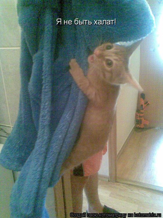 Я не быть халат!... Котоматрица: Я не быть халат!