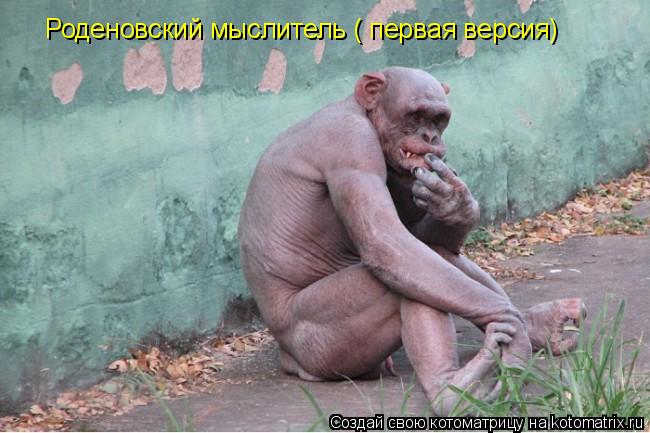 Роденовский мыслитель ( первая версия)... Котоматрица: Роденовский мыслитель ( первая версия)
