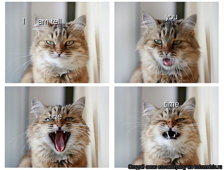I you one am tell time... Котоматрица: I you one am tell time