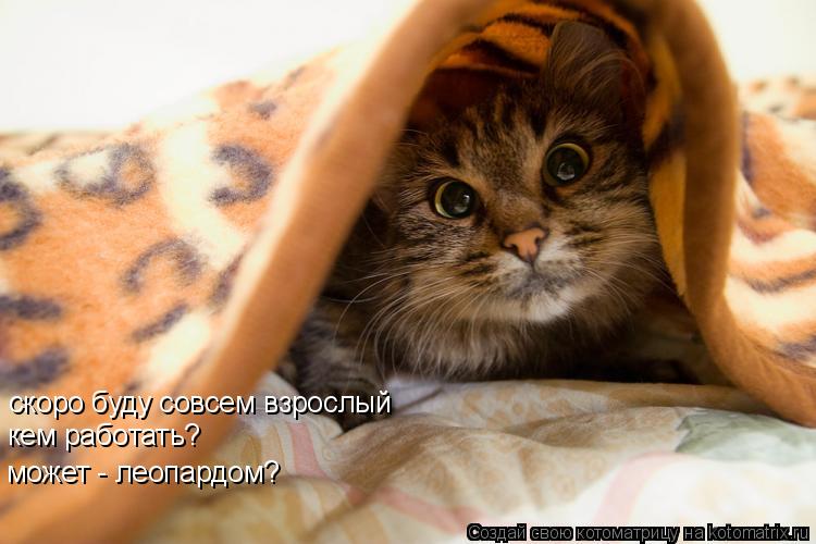 скоро буду совсем взрослый кем работать? может - леопардом?... Котоматрица: скоро буду совсем взрослый кем работать? может - леопардом?