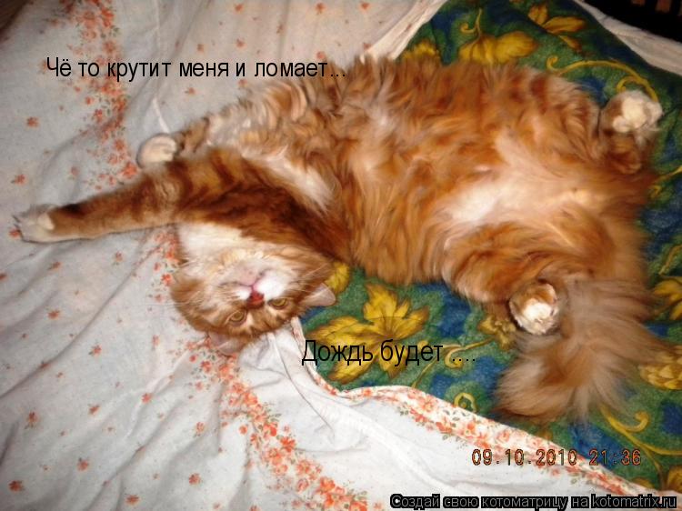 Чё то крутит меня и ломает... Дождь будет ....... Котоматрица: Чё то крутит меня и ломает... Дождь будет ....