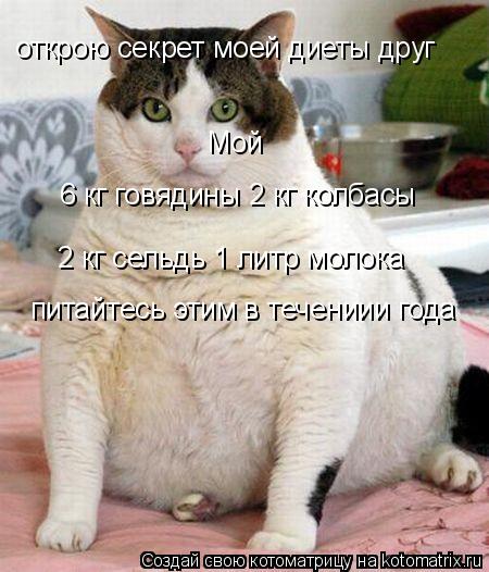 открою секрет моей диеты друг Мой 6 кг говядины 2 кг колбасы 2 кг сельдь 1 литр молока питайтесь э... Котоматрица: открою секрет моей диеты друг Мой 6 кг говядины 2 кг колбасы 2 кг сельдь 1 литр молока питайтесь этим в течениии года