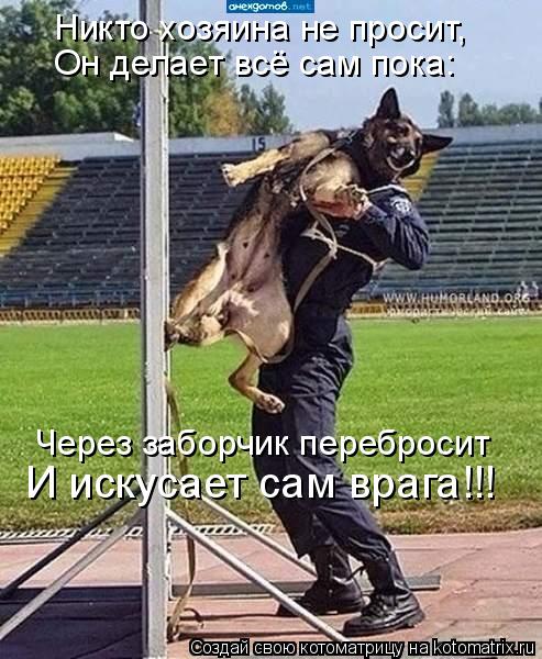 Никто хозяина не просит, Через заборчик перебросит Он делает всё сам пока: И искусает сам врага!!!... Котоматрица: Никто хозяина не просит, Через заборчик перебросит Он делает всё сам пока: И искусает сам врага!!!