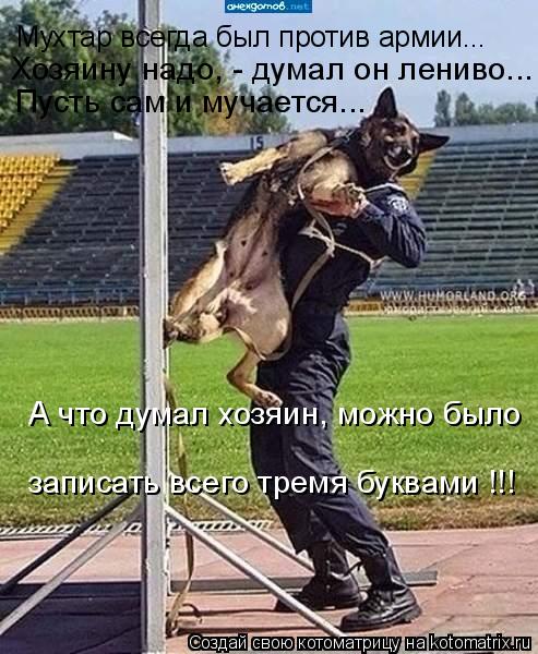 Мухтар всегда был против армии... Хозяину надо, - думал он лениво... Пусть сам и мучается... А что ду... Котоматрица: Мухтар всегда был против армии... Хозяину надо, - думал он лениво... Пусть сам и мучается... А что думал хозяин, можно было записать всего тремя