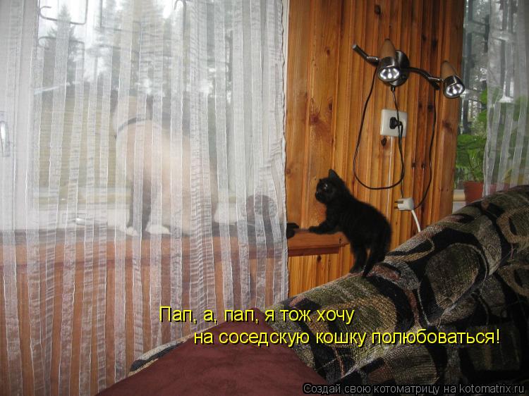 Пап, а, пап, я тож хочу на соседскую кошку полюбоваться!... Котоматрица: Пап, а, пап, я тож хочу на соседскую кошку полюбоваться!