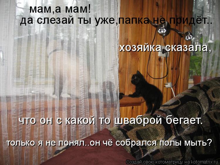 мам,а мам! да слезай ты уже,папка не придёт.. хозяйка сказала, что он с какой то шваброй бегает. толь... Котоматрица: мам,а мам! да слезай ты уже,папка не придёт.. хозяйка сказала, что он с какой то шваброй бегает. только я не понял..он чё собрался полы мыть?