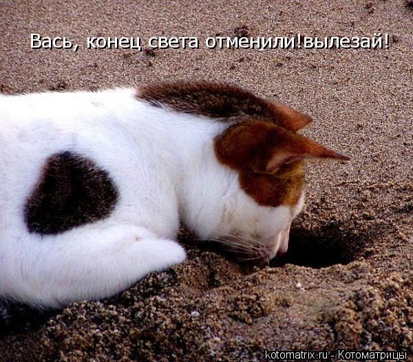 Вась, конец света отменили!вылезай!... Котоматрица: Вась, конец света отменили!вылезай!