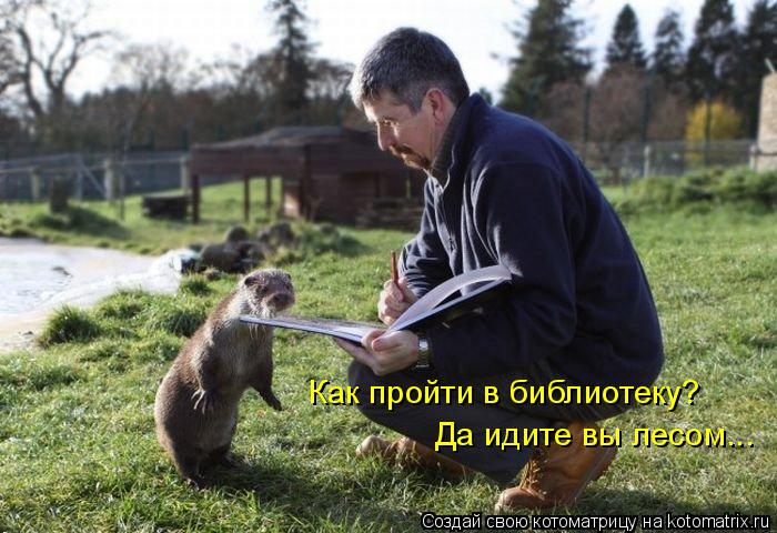 Котоматрица: Как пройти в библиотеку? Да идите вы лесом...