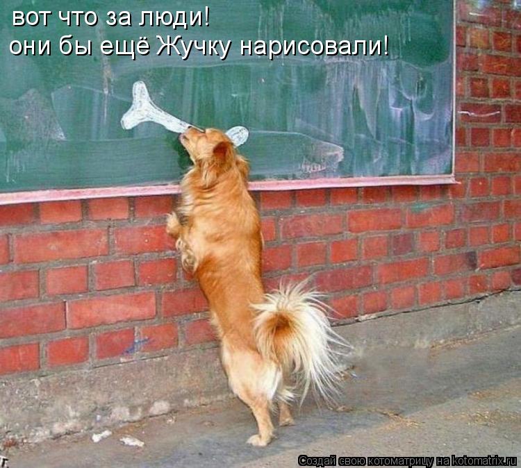 вот что за люди! они бы ещё Жучку нарисовали!... Котоматрица: вот что за люди! они бы ещё Жучку нарисовали!