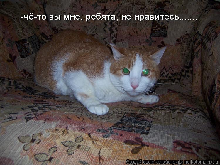 -чё-то вы мне, ребята, не нравитесь.......... Котоматрица: -чё-то вы мне, ребята, не нравитесь.......