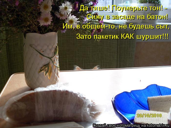 Котоматрица: Да тише! Поумерьте тон! - Сижу в засаде на батон! Им, в общем-то, не будешь сыт,  Зато пакетик КАК шуршит!!!
