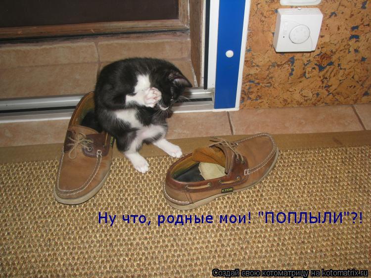Котоматрица: Ну что, родные мои! "ПОПЛЫЛИ"?!