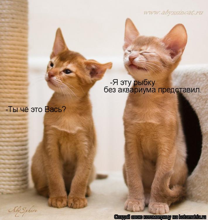 -Ты чё это Вась? -Я эту рыбку без аквариума представил.... Котоматрица: -Ты чё это Вась? -Я эту рыбку без аквариума представил.