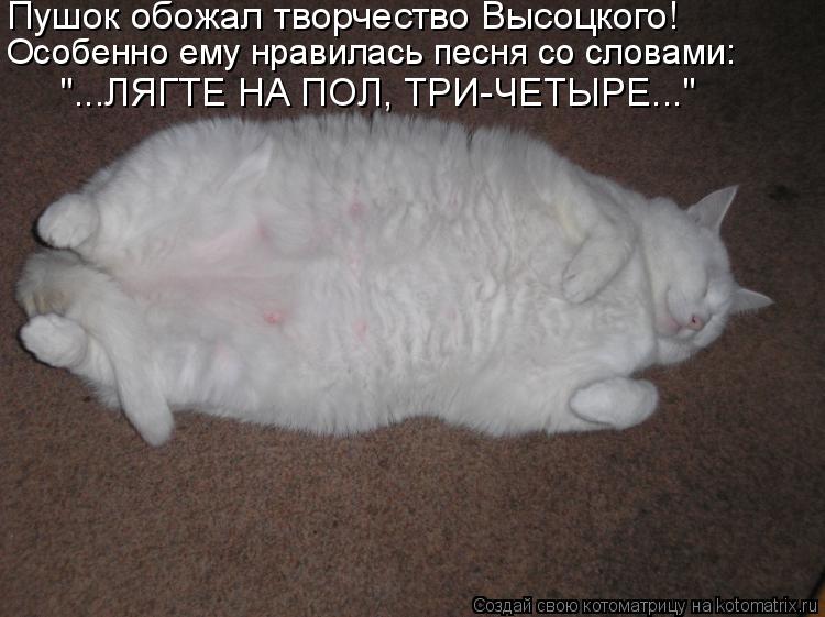 Особенно ему нравилась песня со словами: Пушок обожал творчество Высоцкого! "...ЛЯГТЕ НА ПОЛ, ТРИ-ЧЕТ... Котоматрица: Особенно ему нравилась песня со словами: Пушок обожал творчество Высоцкого! "...ЛЯГТЕ НА ПОЛ, ТРИ-ЧЕТЫРЕ..."