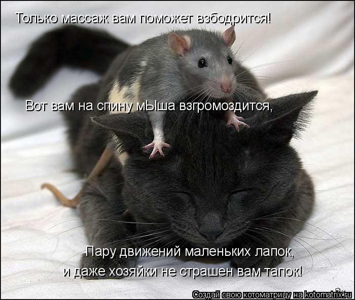 Котоматрица: Только массаж вам поможет взбодрится! Вот вам на спину мЫша взгромоздится, Пару движений маленьких лапок, и даже хозяйки не страшен вам тап