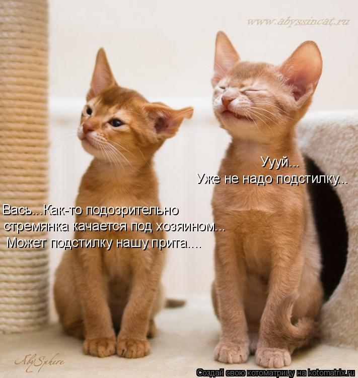 Котоматрица: Вась...Как-то подозрительно  стремянка качается под хозяином... Может подстилку нашу прита.... Уууй... Уже не надо подстилку...