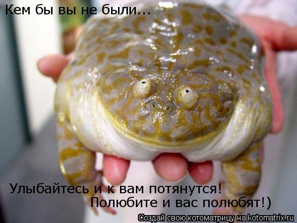 Котоматрица: Улыбайтесь и к вам потянутся! Полюбите и вас полюбят!) Кем бы вы не были...