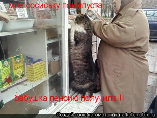 Котоматрица: мне сосиську пожалуста,  бабушка пенсию получила!!!