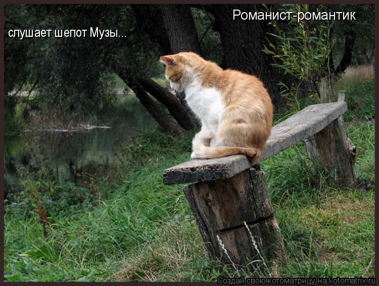 Котоматрица: Романист-романтик слушает шепот Музы...