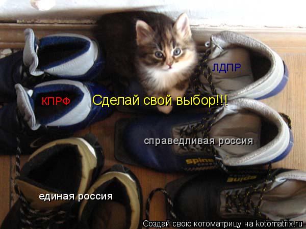 Котоматрица: единая россия КПРФ ЛДПР справедливая россия Сделай свой выбор!!!