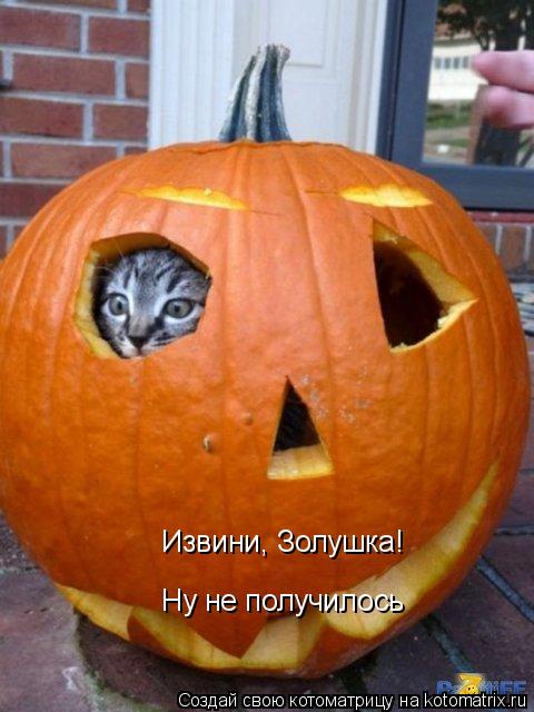 Извини, Золушка! Ну не получилось... Котоматрица: Извини, Золушка! Ну не получилось