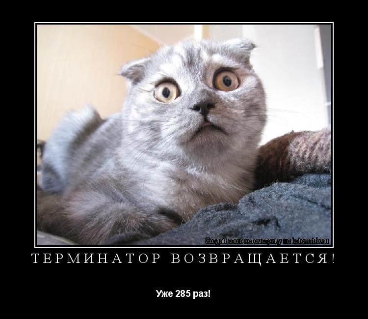 Котоматрица: ТЕРМИНАТОР возвращается! Уже 285 раз!