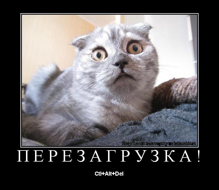 ПЕРЕЗАГРУЗКА! Ctl+Alt+Del... Котоматрица: ПЕРЕЗАГРУЗКА! Ctl+Alt+Del