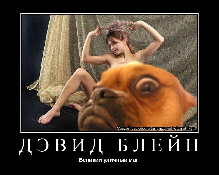 Котоматрица: Дэвид Блейн Великий уличный маг 