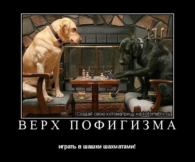 Верх пофигизма играть в шашки шахматами!... Котоматрица: Верх пофигизма играть в шашки шахматами!