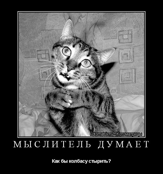 Котоматрица: Мыслитель думает Как бы колбасу стырить?