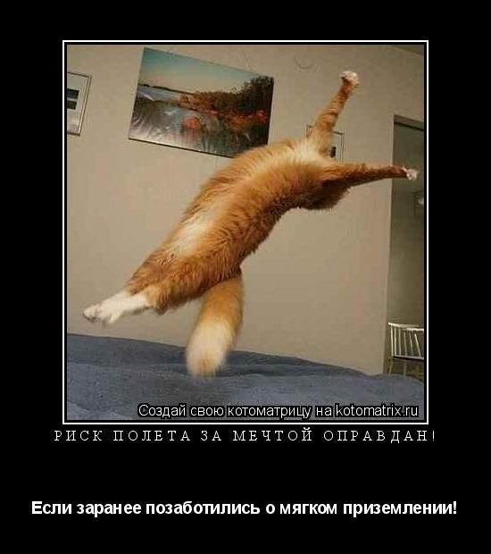 Котоматрица: Риск полета за мечтой оправдан! Если заранее позаботились о мягком приземлении!