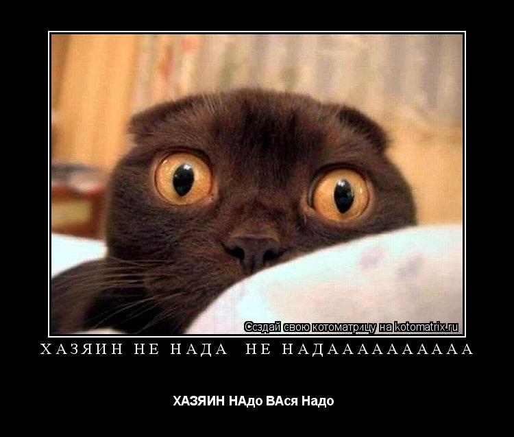 ХАЗЯИН НЕ НАДа не НАДаааааааааа ХАЗЯИН НАдо ВАся Надо ... Котоматрица: ХАЗЯИН НЕ НАДа не НАДаааааааааа ХАЗЯИН НАдо ВАся Надо