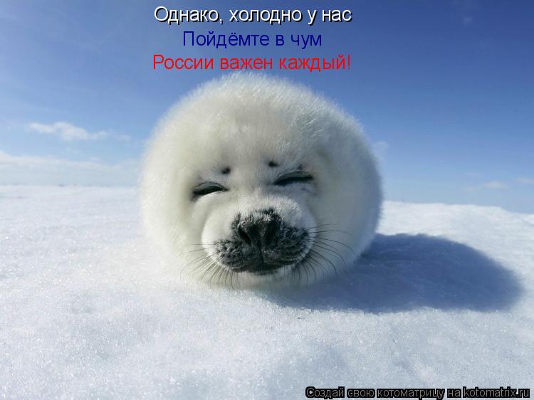 Однако, холодно у нас Пойдёмте в чум России важен каждый!... Котоматрица: Однако, холодно у нас Пойдёмте в чум России важен каждый!