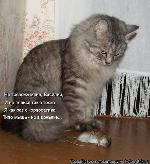 Не тревожь меня, Василий, И не пялься так в тоске Я как раз с корпоратива Типо мышь - но в коньяке...... Котоматрица: Не тревожь меня, Василий, И не пялься так в тоске Я как раз с корпоратива Типо мышь - но в коньяке...