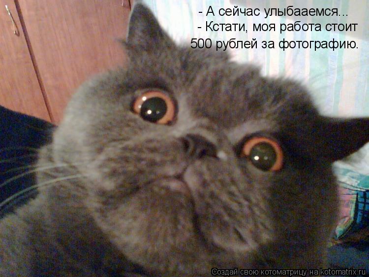 - А сейчас улыбааемся... - Кстати, моя работа стоит 500 рублей за фотографию.... Котоматрица: - А сейчас улыбааемся... - Кстати, моя работа стоит 500 рублей за фотографию.