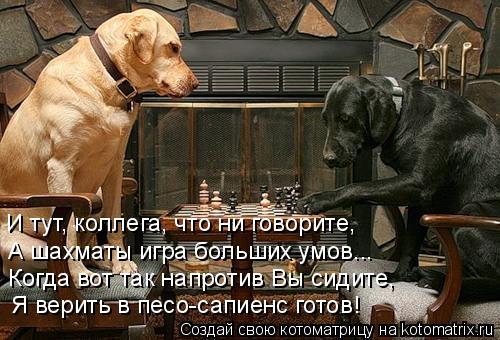 Я верить в песо-сапиенс готов! Когда вот так напротив Вы сидите, А шахматы игра больших умов... И тут... Котоматрица: Я верить в песо-сапиенс готов! Когда вот так напротив Вы сидите, А шахматы игра больших умов... И тут, коллега, что ни говорите,
