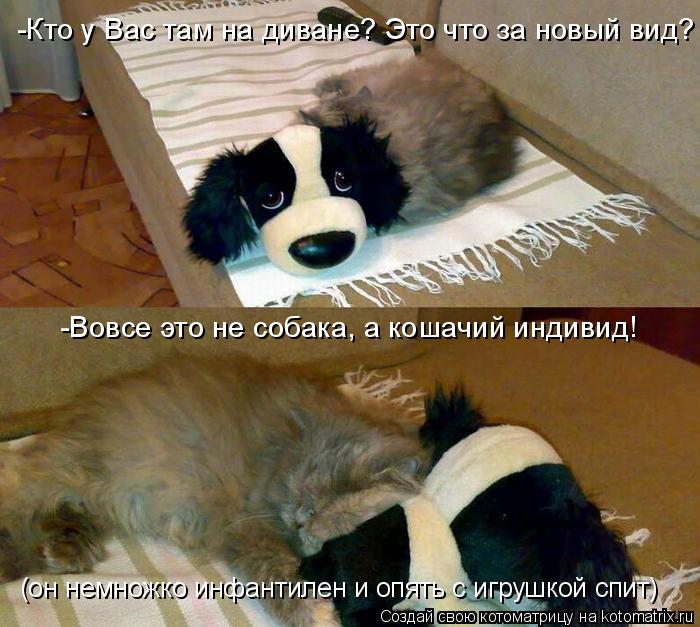 -Кто у Вас там на диване? Это что за новый вид? -Вовсе это не собака, а кошачий индивид! (он немножко... Котоматрица: -Кто у Вас там на диване? Это что за новый вид? -Вовсе это не собака, а кошачий индивид! (он немножко инфантилен и опять с игрушкой спит)