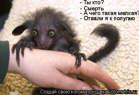 - Отвали я к попугаю - Отвали я к попугаю - Смерть - Ты кто? - А чего такая мелкая?... Котоматрица: - Отвали я к попугаю - Отвали я к попугаю - Смерть - Ты кто? - А чего такая мелкая?