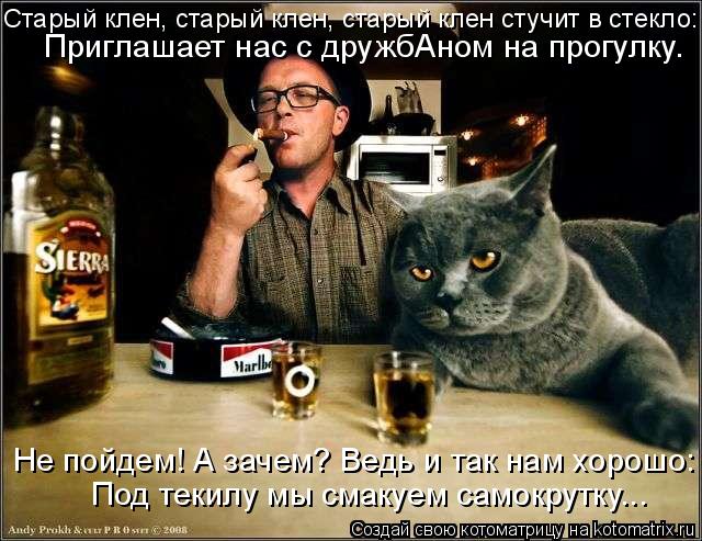 Старый клен, старый клен, старый клен стучит в стекло: Приглашает нас с дружбАном на прогулку. Не пой... Котоматрица: Старый клен, старый клен, старый клен стучит в стекло: Приглашает нас с дружбАном на прогулку. Не пойдем! А зачем? Ведь и так нам хорошо: Под т