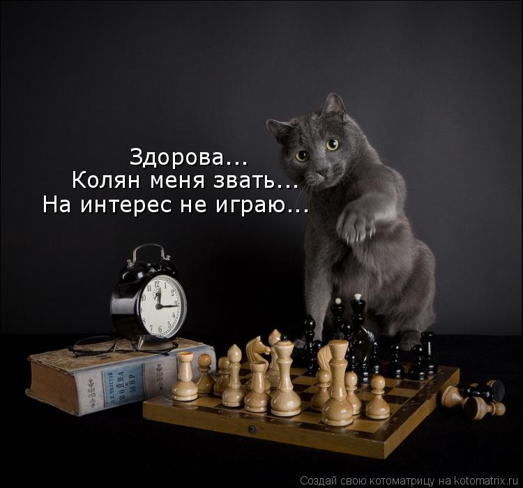 Здорова... Колян меня звать... На интерес не играю...... Котоматрица: Здорова... Колян меня звать... На интерес не играю...