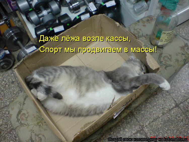 Спорт мы продвигаем в массы! Даже лёжа возле кассы,... Котоматрица: Спорт мы продвигаем в массы! Даже лёжа возле кассы,