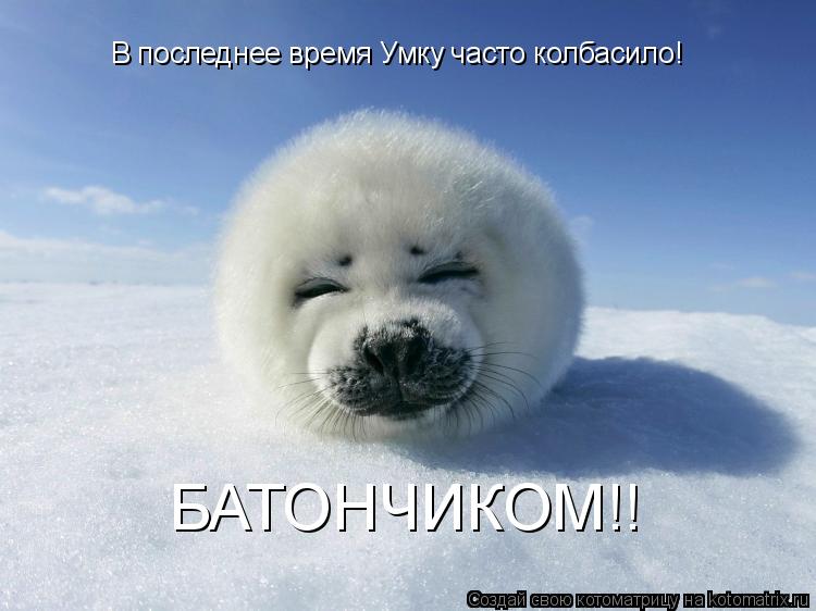 В последнее время Умку часто колбасило! БАТОНЧИКОМ!!... Котоматрица: В последнее время Умку часто колбасило! БАТОНЧИКОМ!!