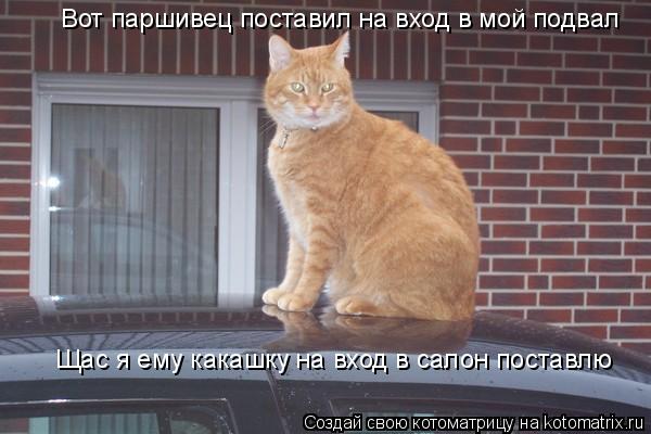 Вот паршивец поставил на вход в мой подвал Щас я ему какашку на вход в салон поставлю... Котоматрица: Вот паршивец поставил на вход в мой подвал Щас я ему какашку на вход в салон поставлю