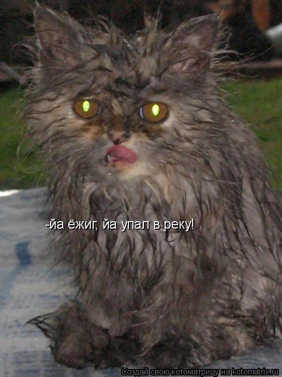 Котоматрица: -йа ёжиг, йа упал в реку!
